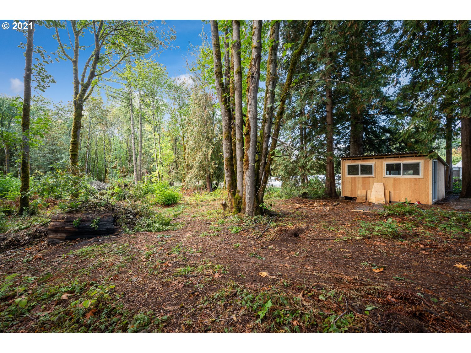 30899 South Oswalt Road Colton, OR 97017 - Photo 24 of 32 Gallery Image 24