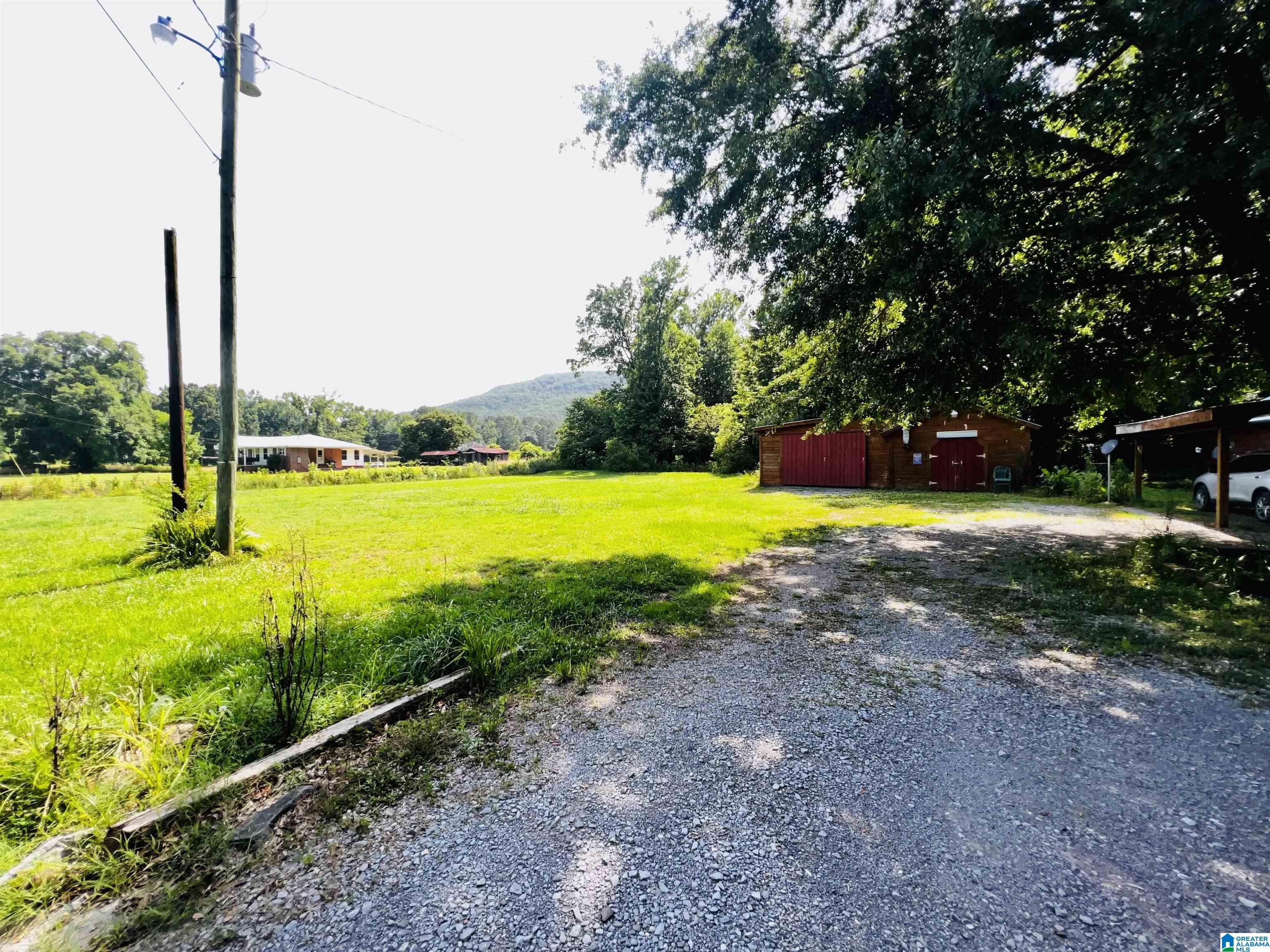 1500 Pleasant Valley Road Gallant, AL 35972 - Photo 2 of 8