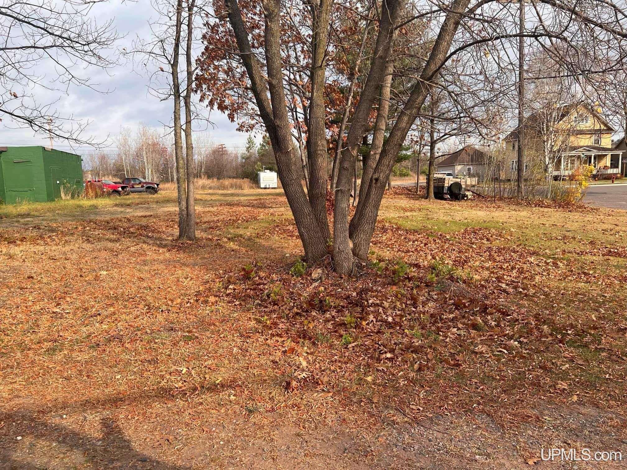 Tbd Oak Street Negaunee, MI 49866 - Photo 6 of 8