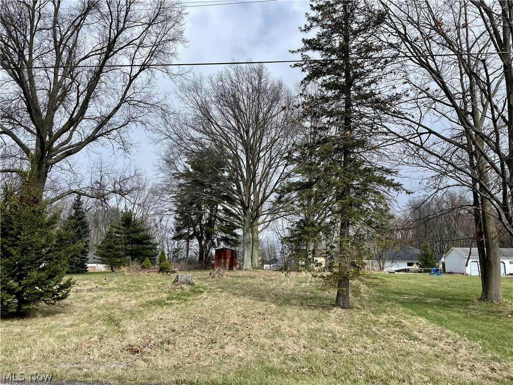 6891 South Raccoon Road Canfield, OH 44406 - Photo 4 of 5 Gallery Image 4