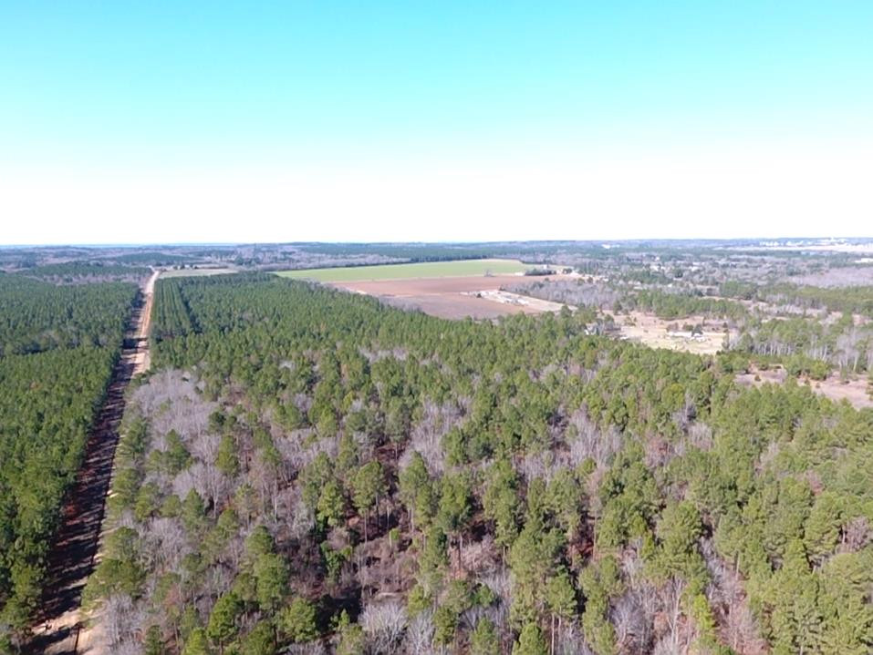 0 McLaurin Road Wedgefield, SC 29168 - Photo 7 of 15 Gallery Image 7