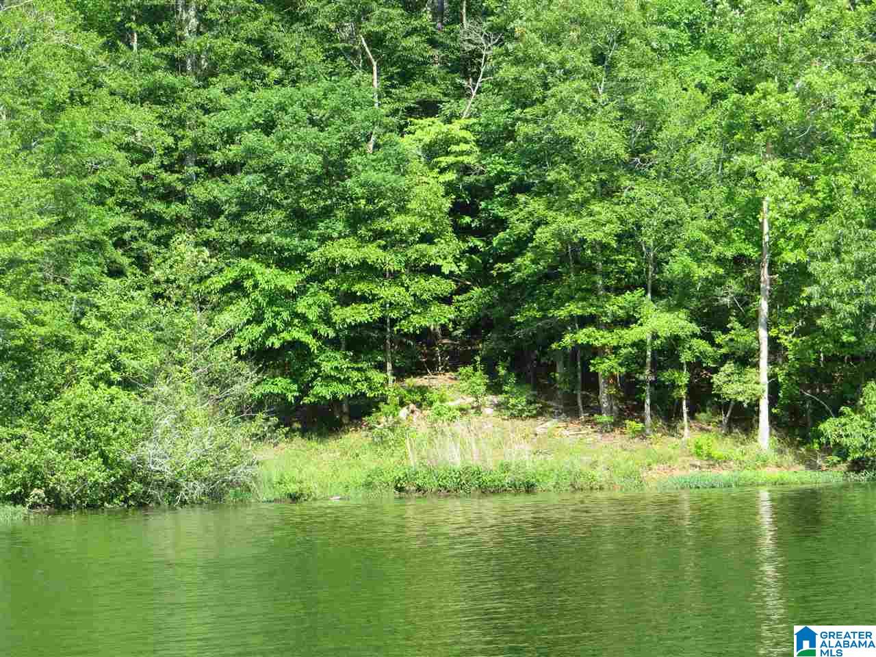 Lot 12 Eagle Mountain Road, Unit 12 Alexander City, AL 35010 - Photo 1 of 7
