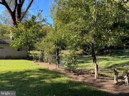 a view of a backyard with large trees