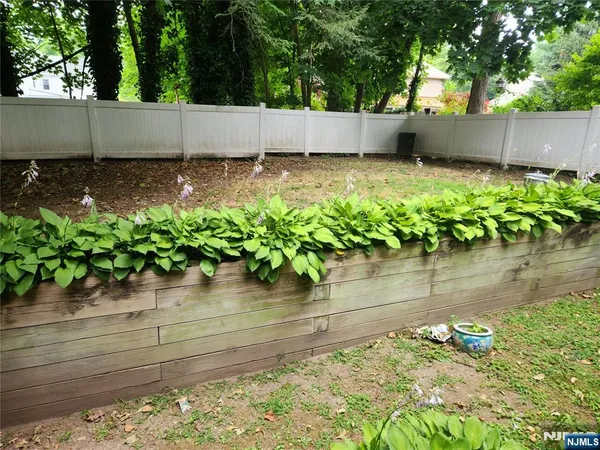 a view of a backyard with plants and trees