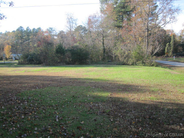 2612 Twiggs Ferry Road Hartfield, VA 23071 - Photo 4 of 12 Side Yard