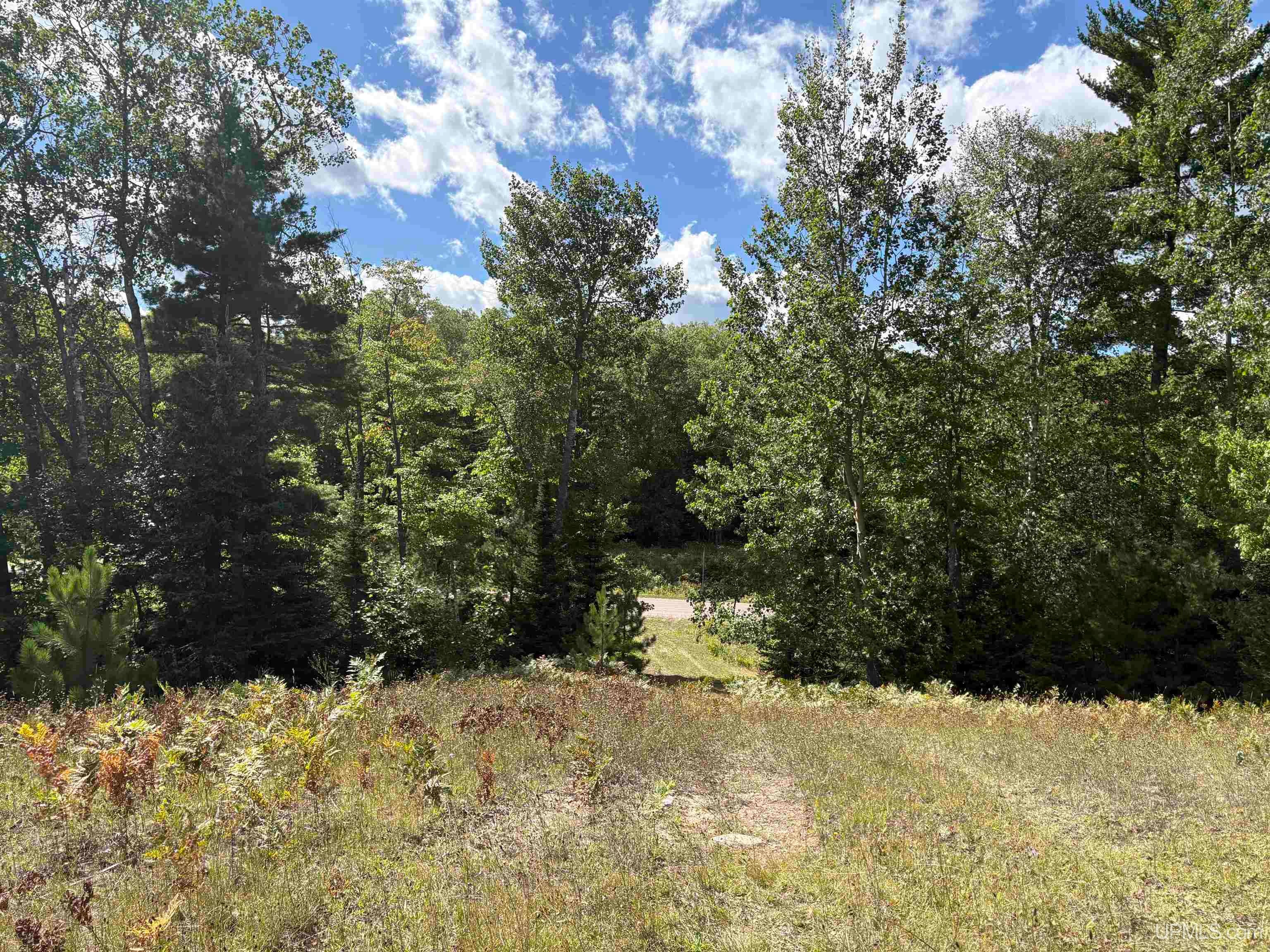 274 Co Road Negaunee, MI 49866 - Photo 5 of 8 Gallery Image 5