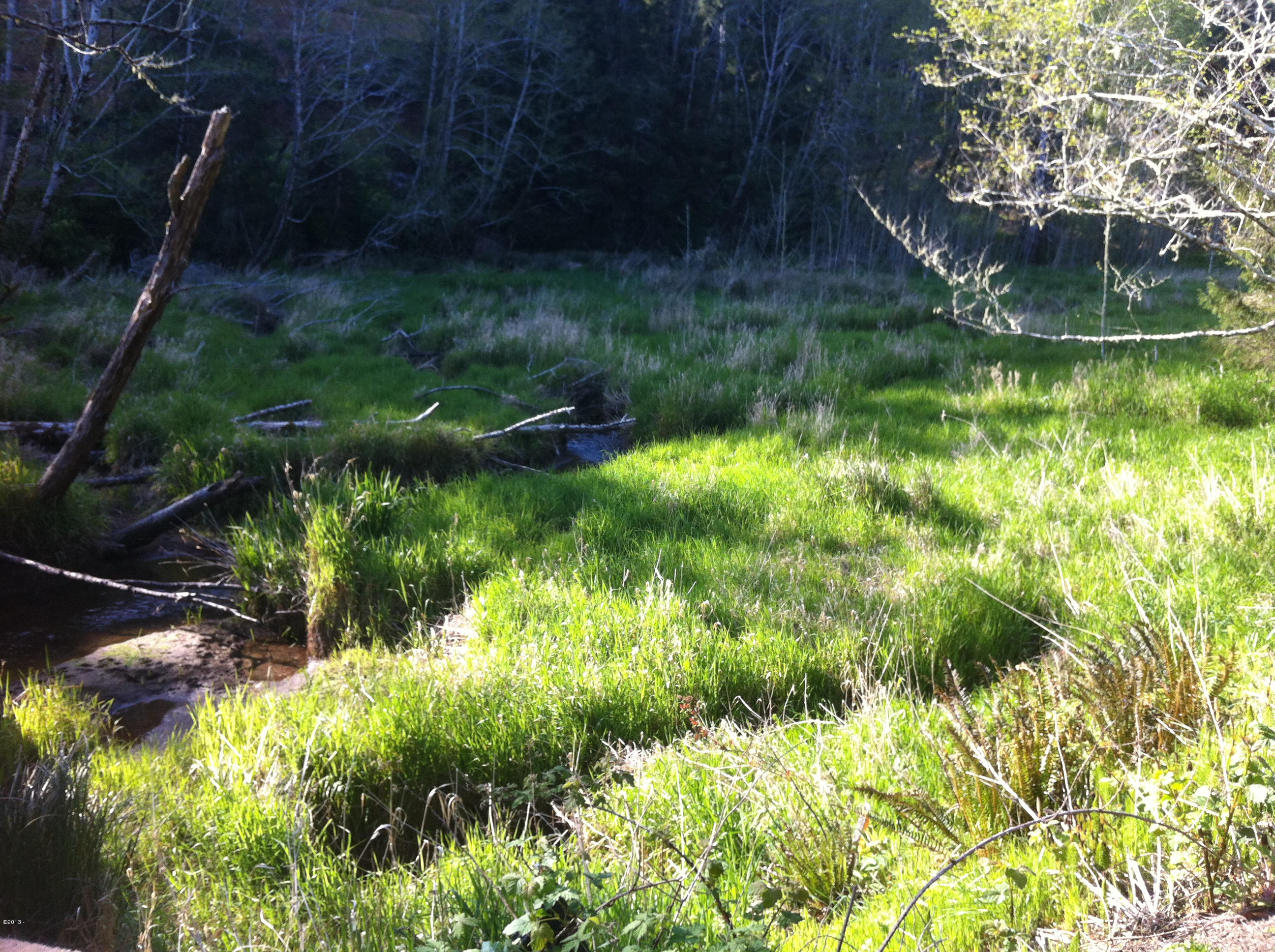 401 South Anderson Creek Road Lincoln City, OR 97367 - Photo 4 of 16 051