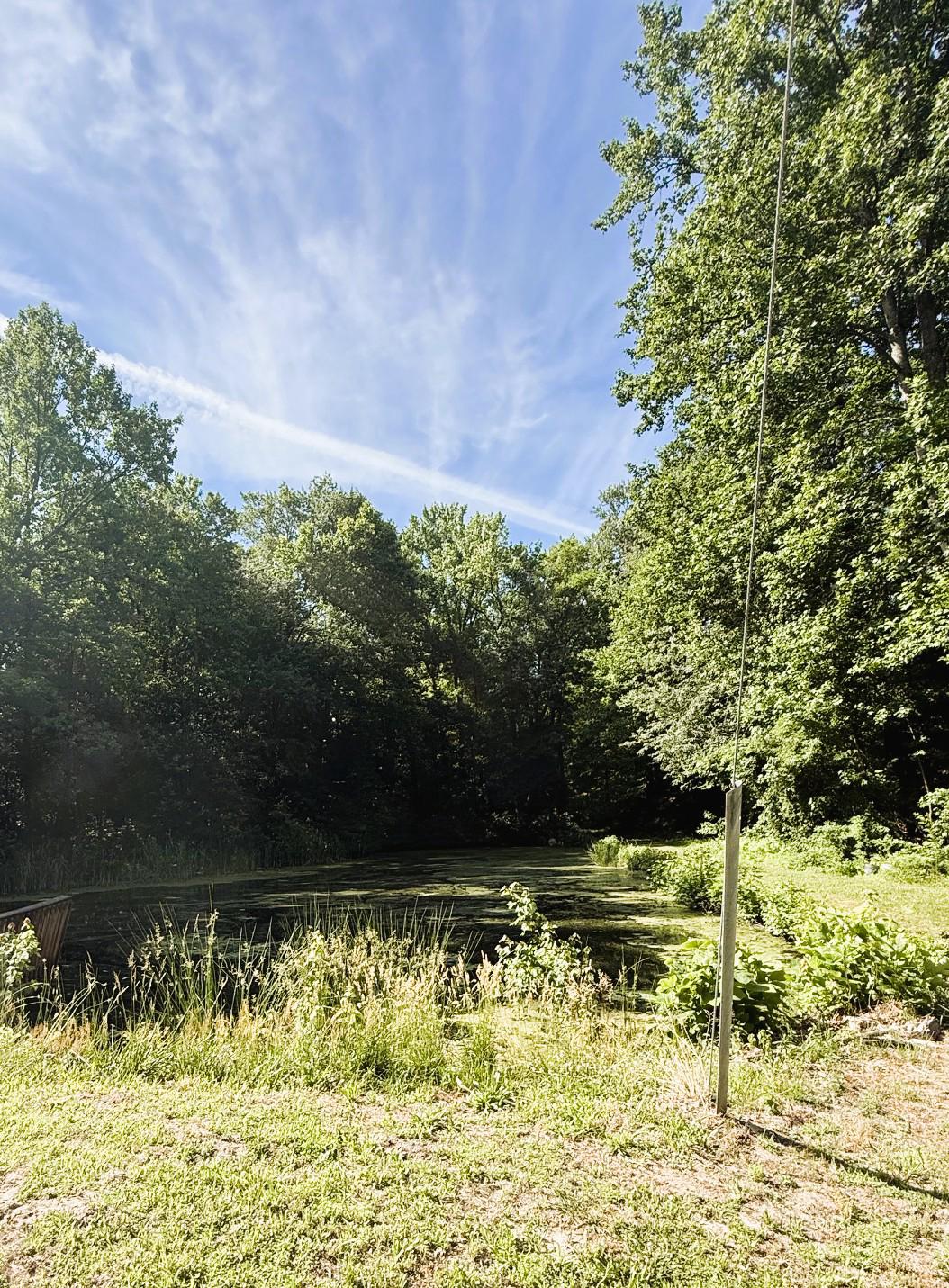 358 Buckhorn Road Bridgeton, NJ 08302 - Photo 7 of 11 Pond on property
