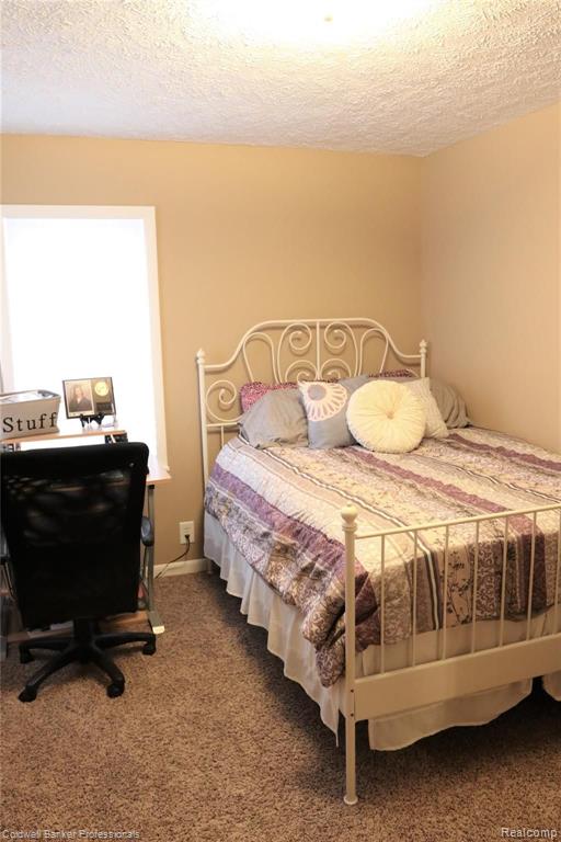 700 West Lansing Road Morrice, MI 48857 - Photo 19 of 28