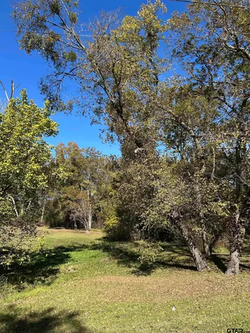 a view of a yard with wooden fence