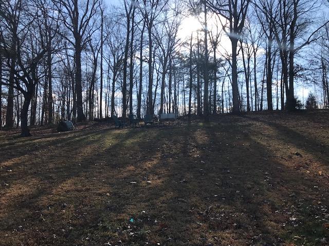 253 Lockwood Hollow Road Dover, TN 37058 - Photo 4 of 21 Back yard