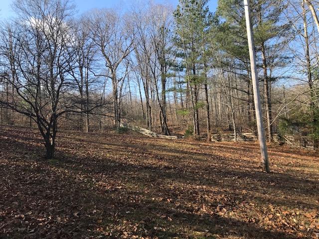 253 Lockwood Hollow Road Dover, TN 37058 - Photo 5 of 21 pack yard
