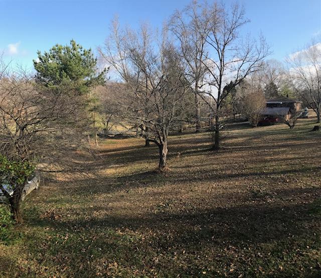 253 Lockwood Hollow Road Dover, TN 37058 - Photo 6 of 21 back yard