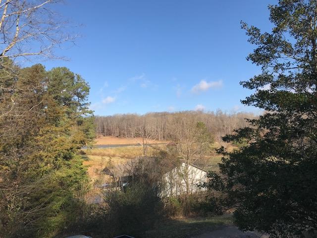 253 Lockwood Hollow Road Dover, TN 37058 - Photo 8 of 21 View From Covered Deck