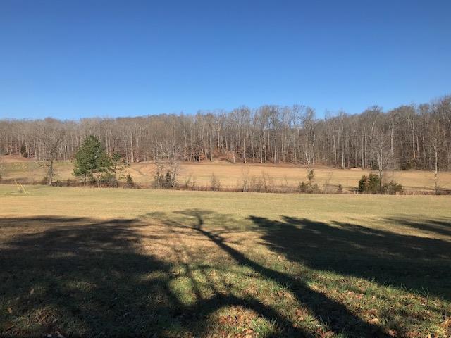 253 Lockwood Hollow Road Dover, TN 37058 - Photo 10 of 21 View from the house