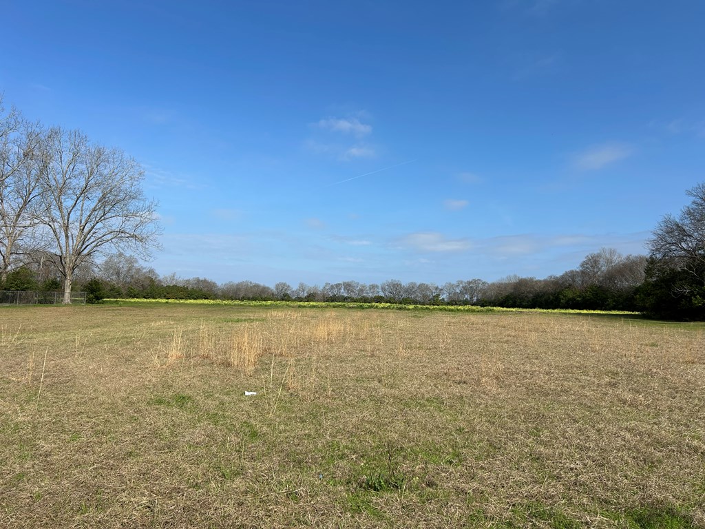 17.99-ac 17.99-ac Wicksburd Road Newton, AL 36352 - Photo 11 of 22