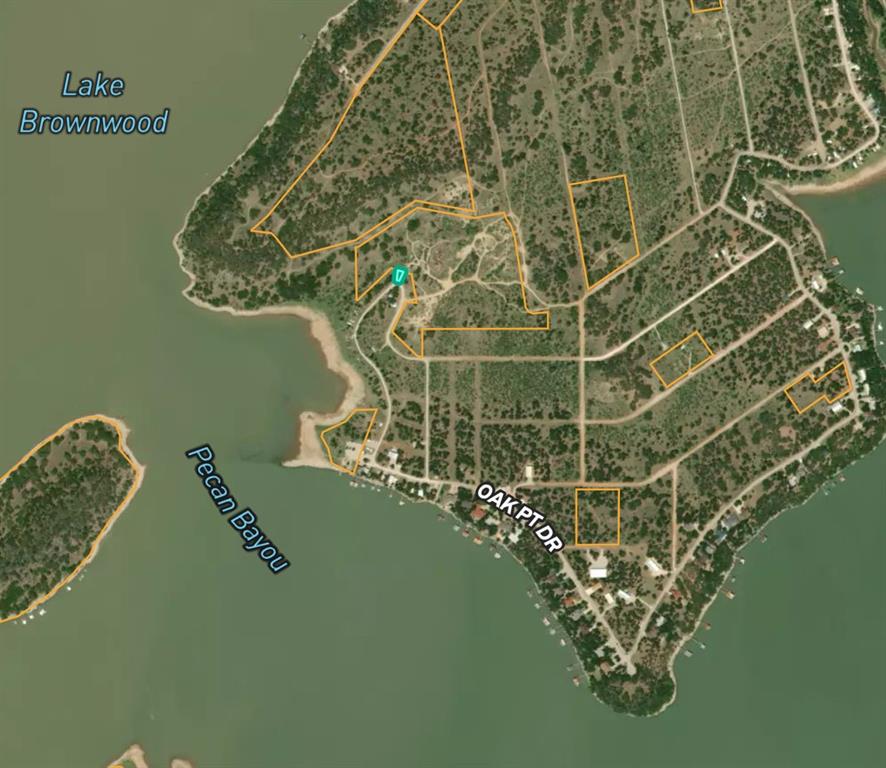 Lot 1314 Lake Front Circle May, TX 76857 - Photo 3 of 5