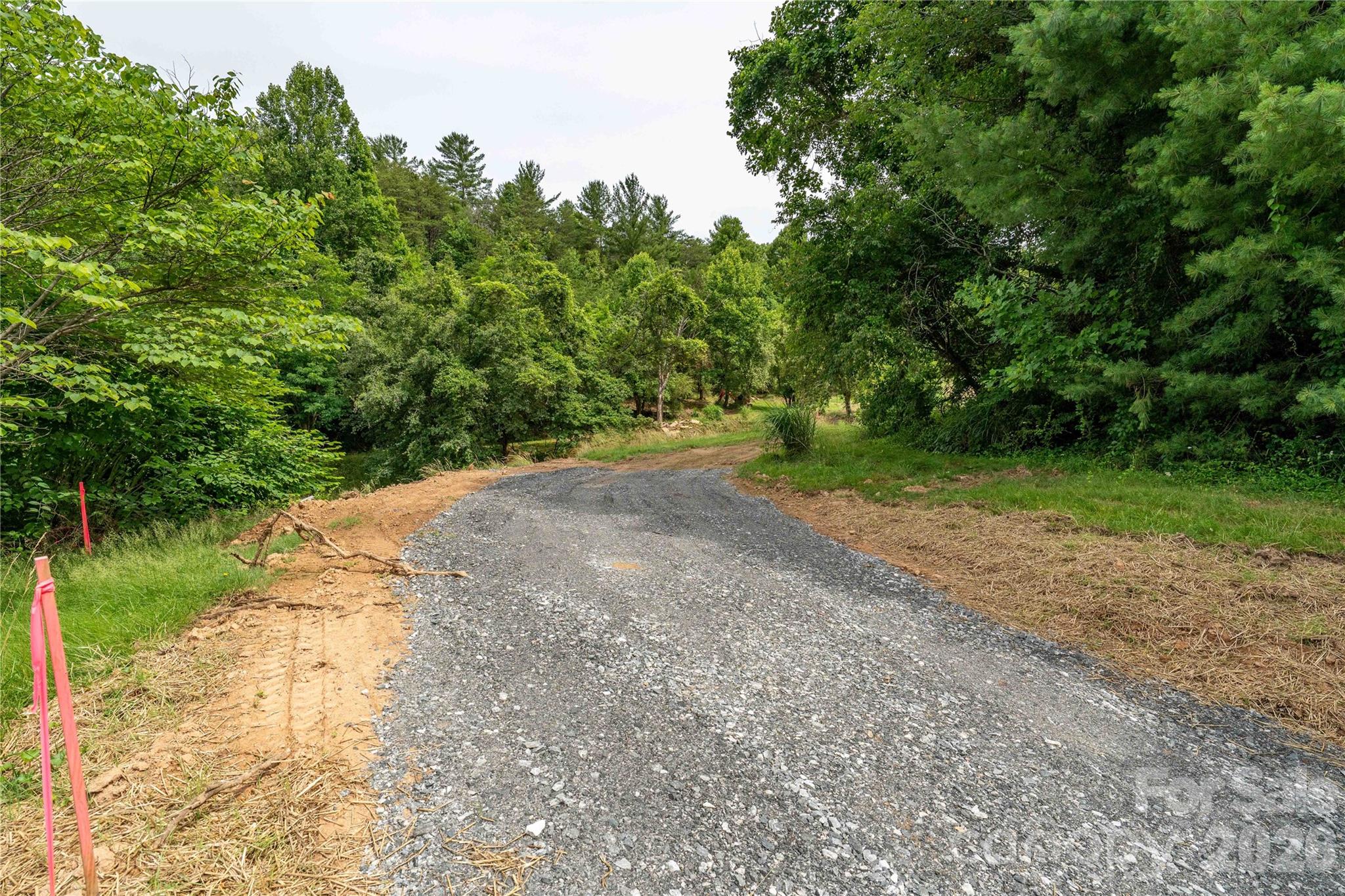 9999 Morgan Branch Road Weaverville, NC 28787 - Photo 13 of 24