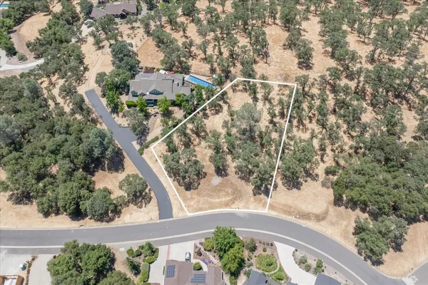 a view of a yard with a trees