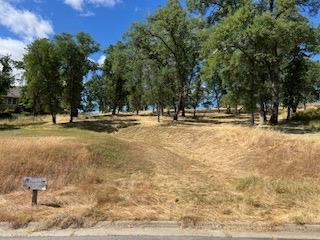 362 Blair Mine Road Angels Camp, CA 95222 - Photo 2 of 13 a view of a yard with a trees