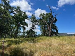 362 Blair Mine Road Angels Camp, CA 95222 - Photo 3 of 13 a backyard of a house with lots of green space