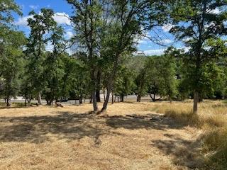 362 Blair Mine Road Angels Camp, CA 95222 - Photo 6 of 13 a view of of snow on a road