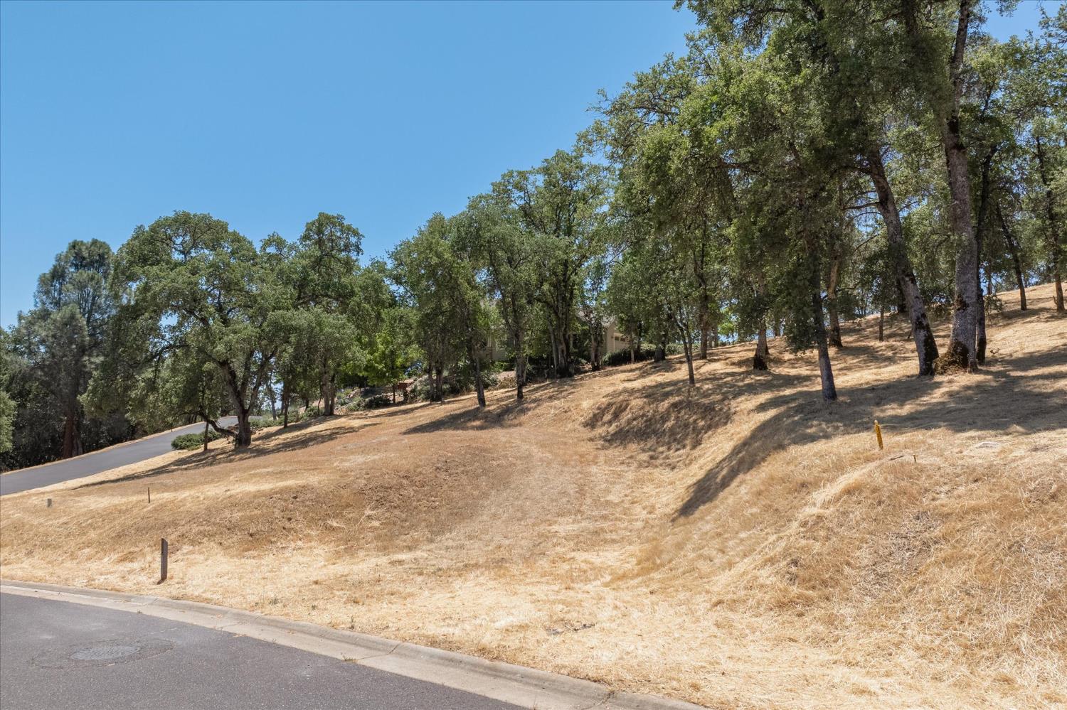 362 Blair Mine Road Angels Camp, CA 95222 - Photo 8 of 13 a view of a road with a building in the background