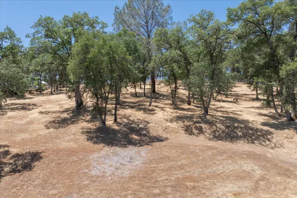 an aerial view of a forest with mountains