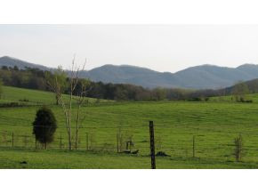 4475 Cedar Creek Road Greeneville, TN 37743 - Photo 4 of 4 Photo 4