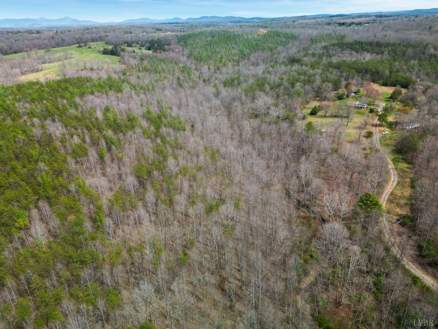 949 Toytown Road Amherst, VA 24521 - Photo 12 of 38 a view of a lush green field