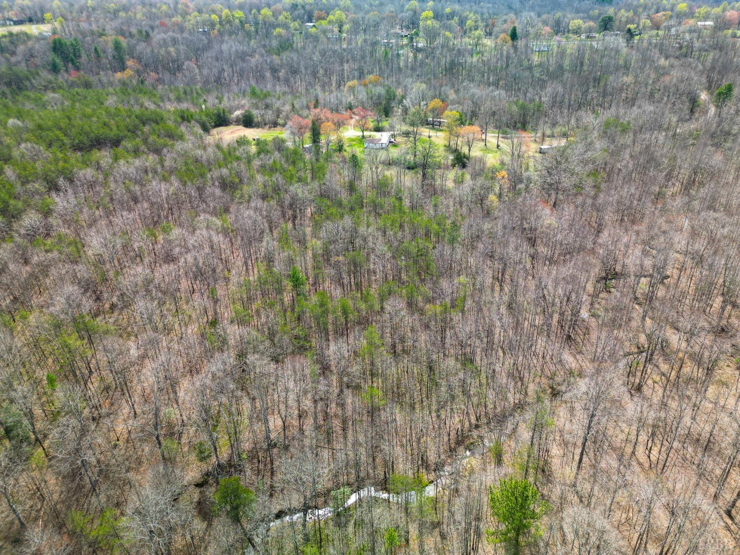 949 Toytown Road Amherst, VA 24521 - Photo 14 of 38 a backyard of a house with lots of green space and trees