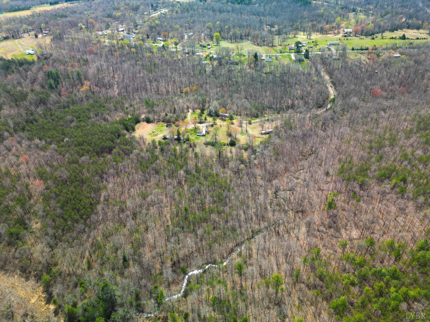 949 Toytown Road Amherst, VA 24521 - Photo 20 of 38 a view of a yard with a tree