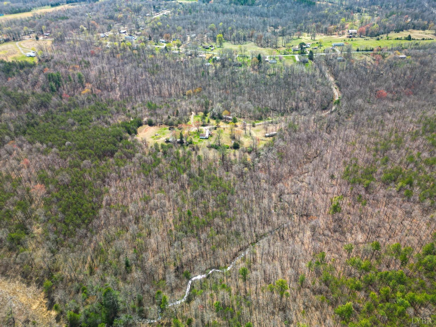 949 Toytown Road Amherst, VA 24521 - Photo 21 of 38 a view of a yard with a tree