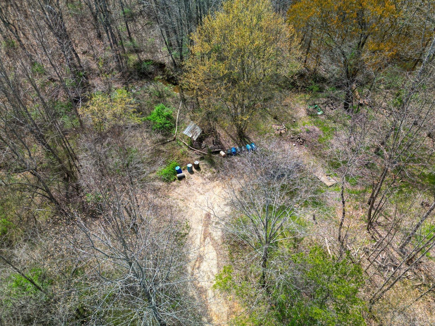 949 Toytown Road Amherst, VA 24521 - Photo 23 of 38 a view of a forest with lots of trees