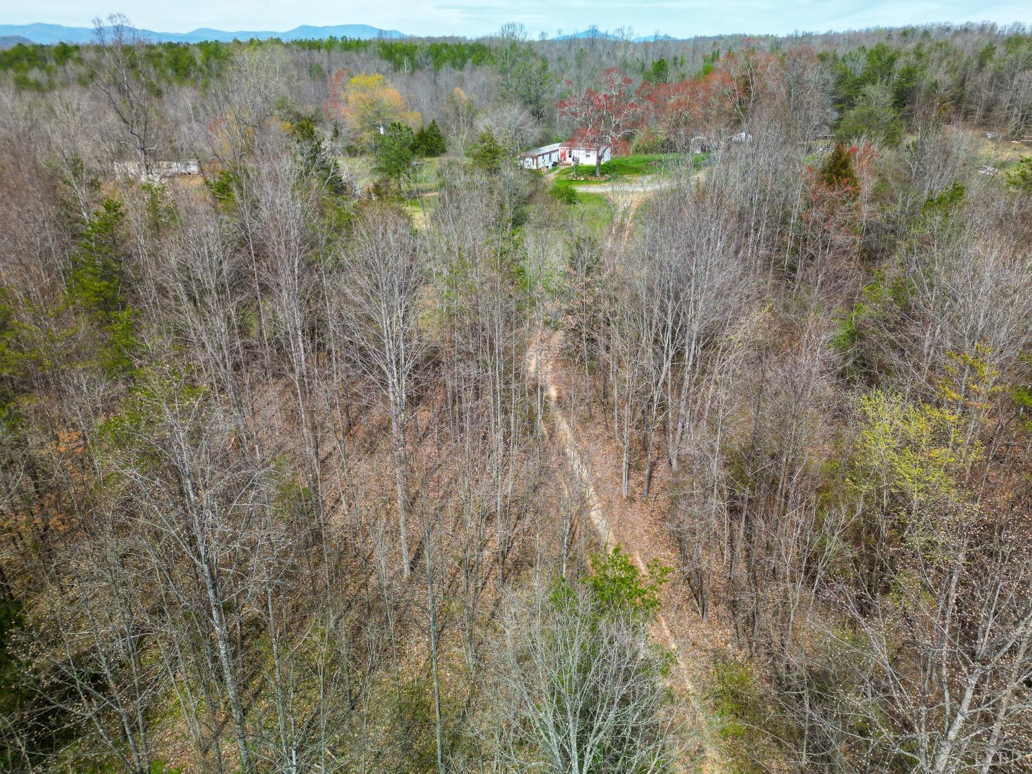 949 Toytown Road Amherst, VA 24521 - Photo 25 of 38 a view of a lake with lots of trees