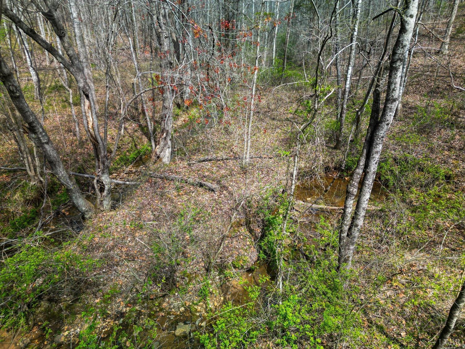 949 Toytown Road Amherst, VA 24521 - Photo 32 of 38 a view of a forest with a tree