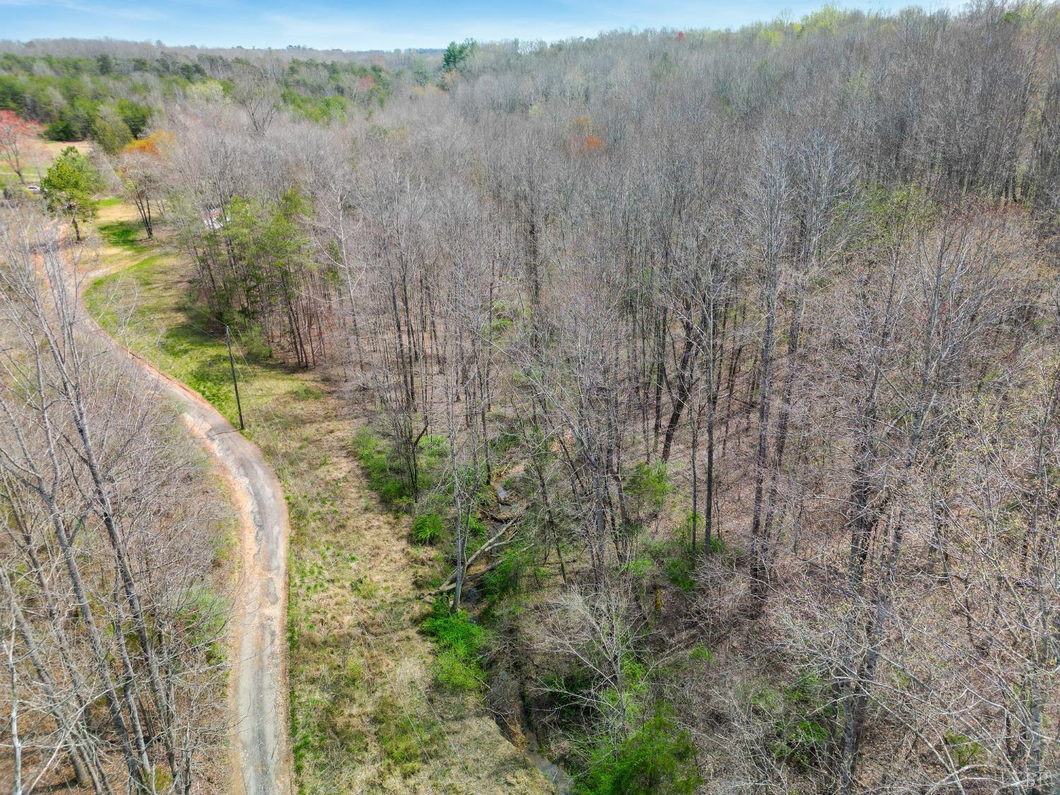 949 Toytown Road Amherst, VA 24521 - Photo 33 of 38 a view of a yard with trees