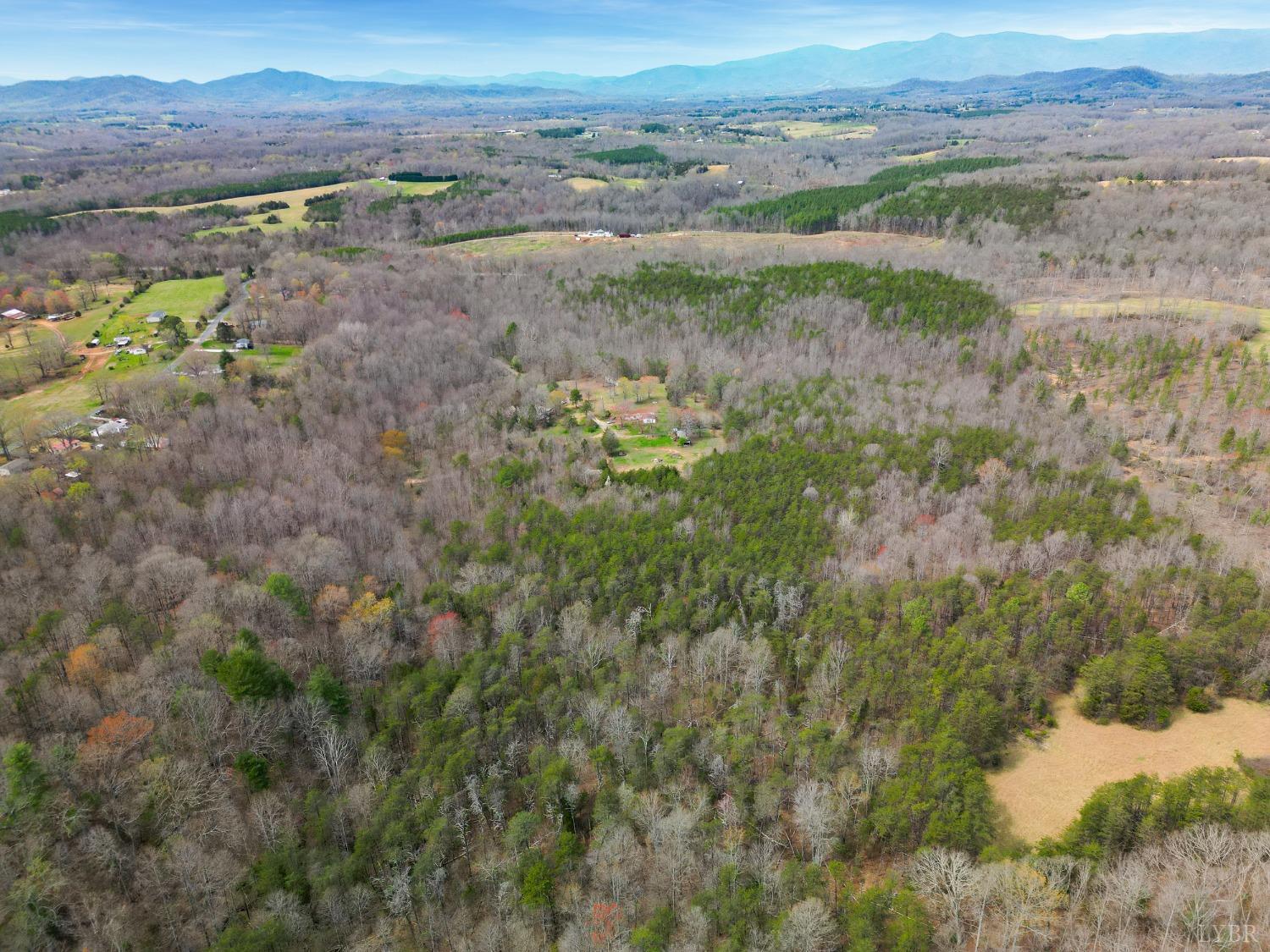 949 Toytown Road Amherst, VA 24521 - Photo 4 of 38 a view of outdoor space and mountain view