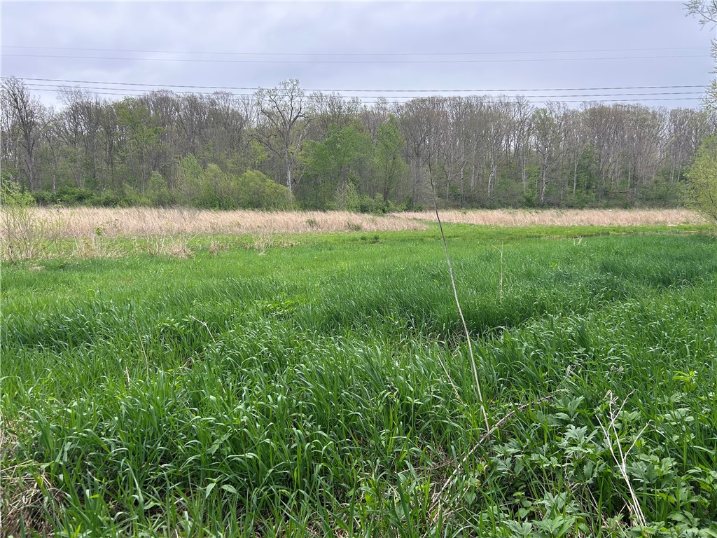 County Line Road Herrick, IL 62431 - Photo 16 of 20