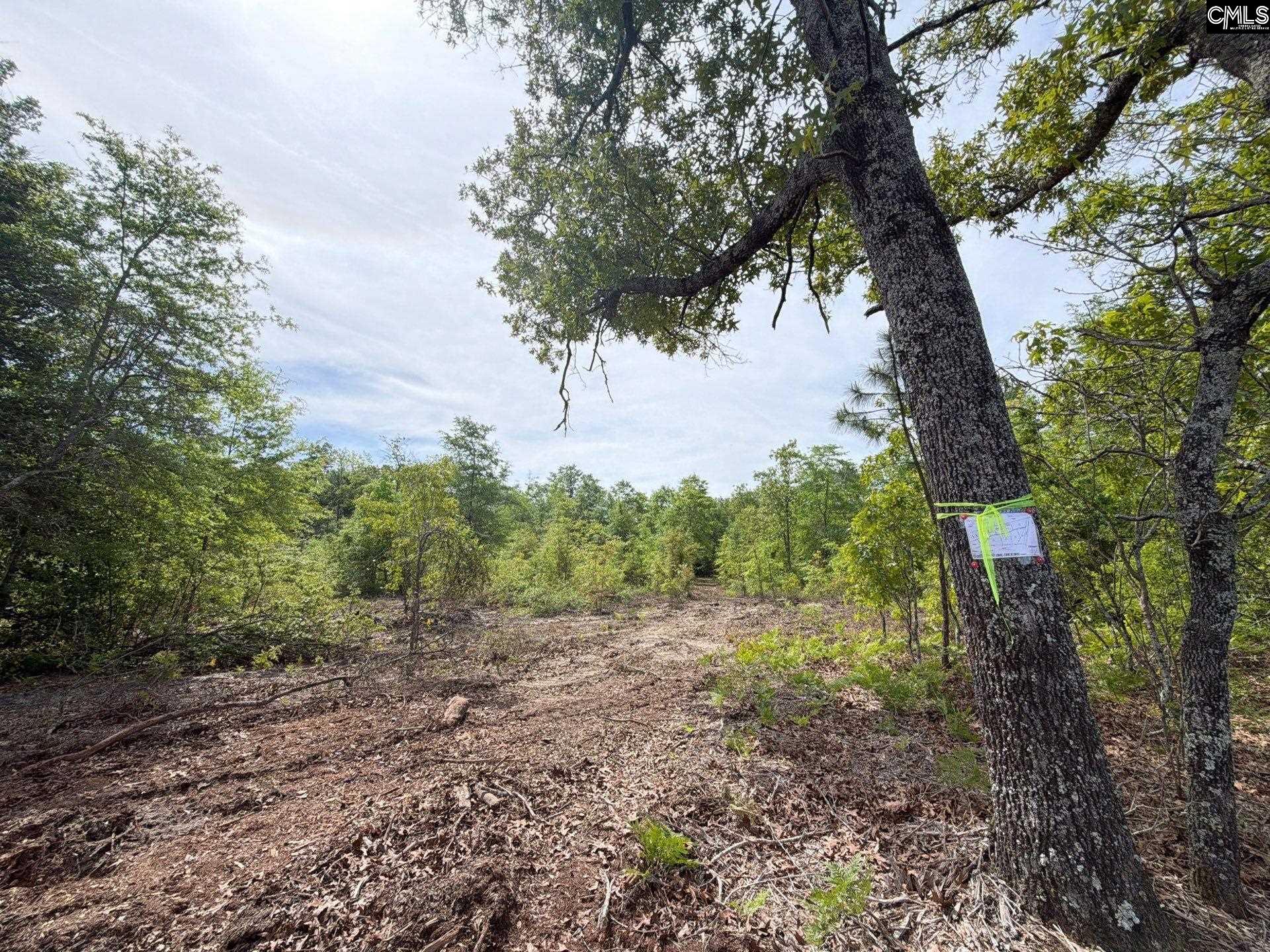 2 Rogers Cemetery Road Aiken, SC 29801 - Photo 18 of 26