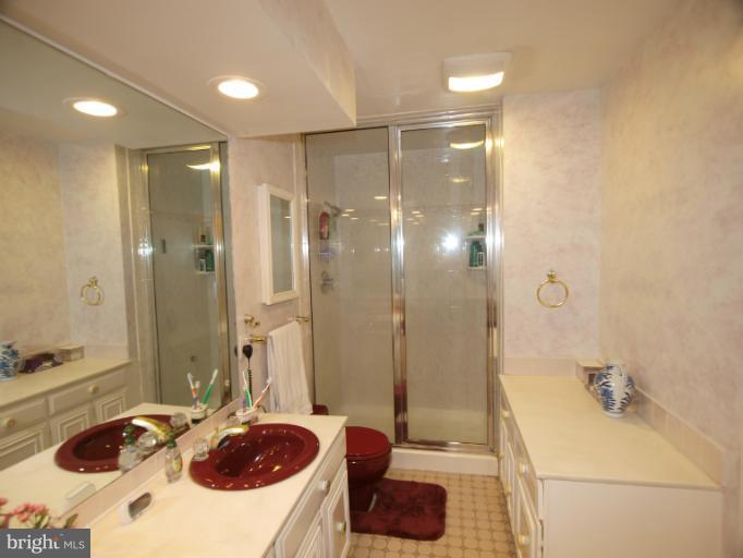 224 Hermleigh Road Silver Spring, MD 20902 - Photo 15 of 30 Bath (Master) Part 1