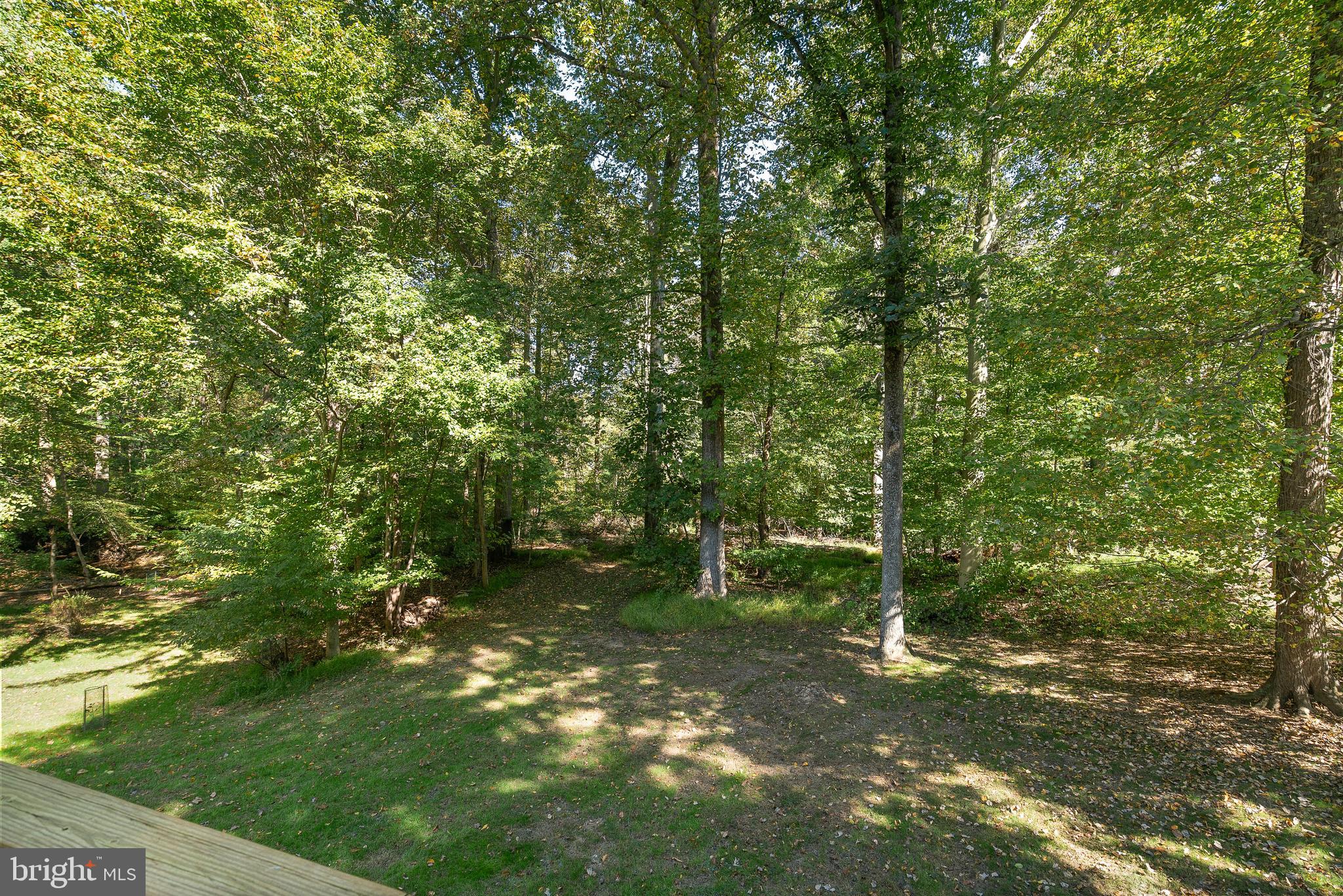 1925 Chapel Hill Road Silver Spring, MD 20906 - Photo 41 of 41 Private backyard backing to Parkland