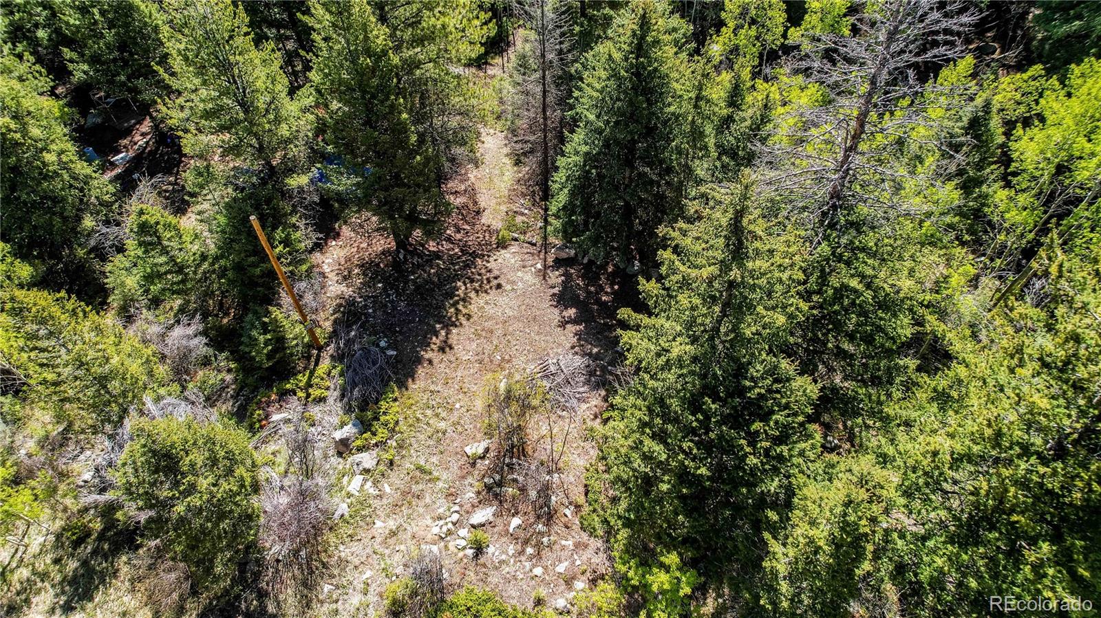 103 Cascade Creek Road Idaho Springs, CO 80452 - Photo 32 of 40 a view of a house with a tree