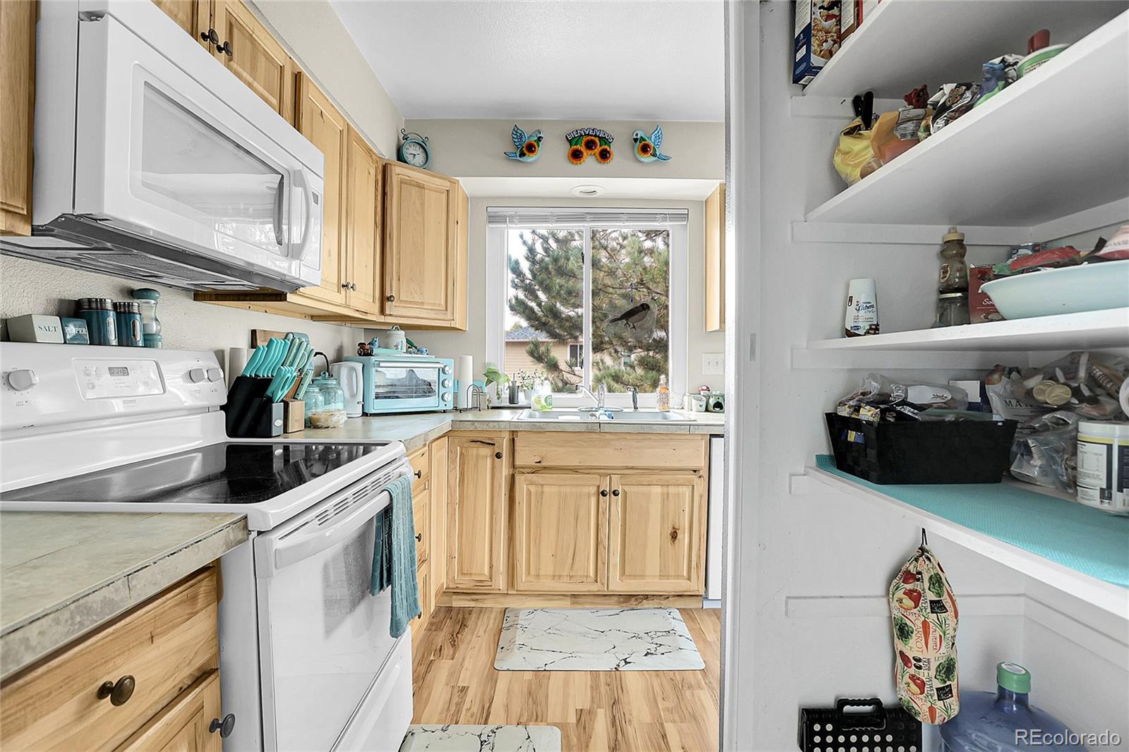 7863 York Street Denver, CO 80229 - Photo 14 of 26