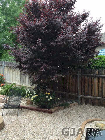2365.5 Rana Road Grand Junction, CO 81507 - Photo 6 of 9 Gallery Image 6