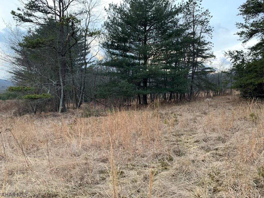27.9-ac Sandy Run Road Hopewell, PA 16650 - Photo 25 of 33 Gallery Image 25