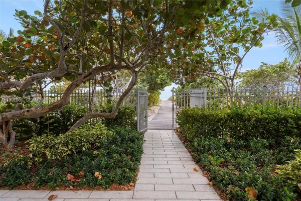 a view of a pathway with a tree