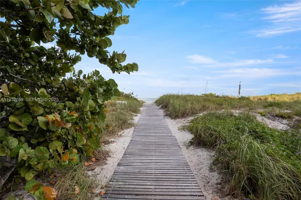 a view of a pathway with a yard