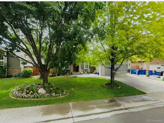 a picture of flowers