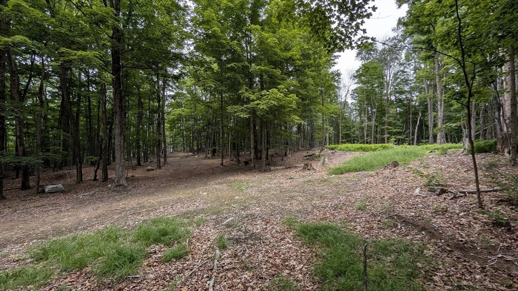 951 West Road Ashfield, MA 01330 - Photo 21 of 30 Gallery Image 21